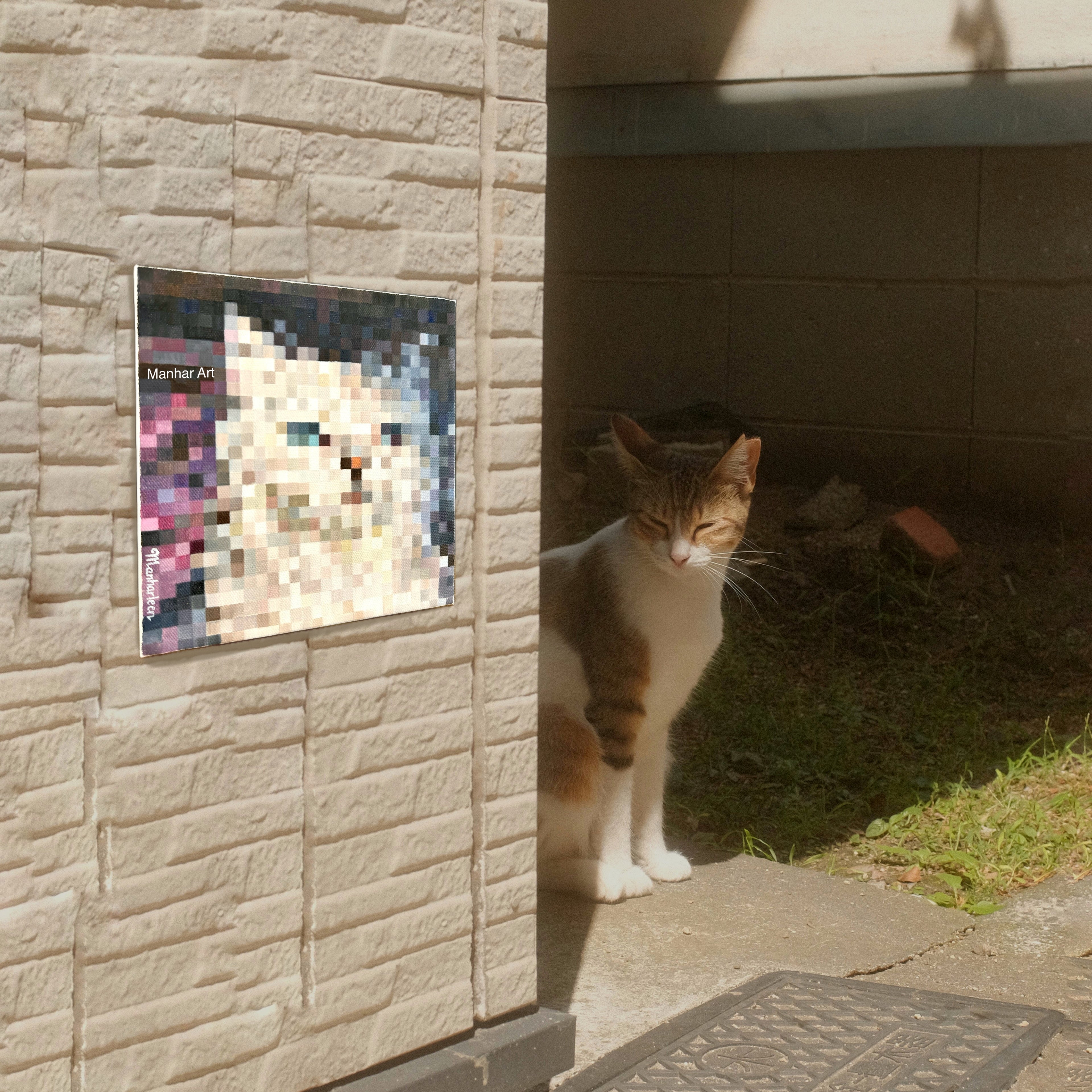 Original Oil Painting on canvas sunkissed cat, shown hanging on a wall